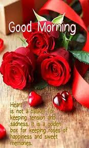 Beautiful 456 Good Morning Flower Images Free Download For Whatsapp In 2020 Good Morning Flowers Good Morning Love Messages Good Morning Beautiful Flowers