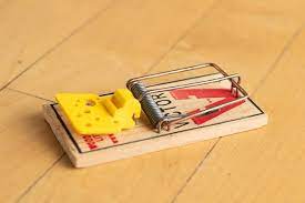 The exclusive design kills and contains the mouse. The Best Mousetrap Reviews By Wirecutter