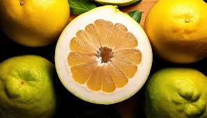 Image result for Rutaceae