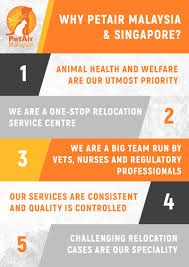 This service includes residential pickup and delivery, airport terminal services, commercial airline cargo charges and international health certificate preparation. Petair Malaysia Singapore One Stop Pet Relocation Centre