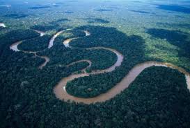 Check spelling or type a new query. Brazil Perlukan As 1 Bilion Perangi Penebangan Hutan Amazon Astro Awani