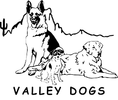 Check out our adoptable dogs and schedule an appointment to find your next loyal family member! Pets For Adoption At Valley Dogs In Gilbert Az Petfinder