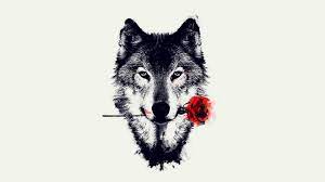 This is free amazing wolf wallpaper apps awesome ! Wolves Wallpaper Laptop Novocom Top