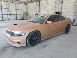 Image result for Stout Brown 2017 Dodge