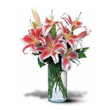 Mark Beecham Obituary August 2, 2021