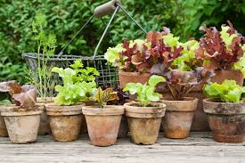 .sich ein hauch von atmosphäre im garten gärtnern ist keine frage von renommee oder reichtum, gärtnern ist ein lebensstil. Knows Garten Zauber