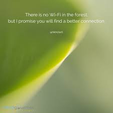 Nature Inspired Quotes Inspirational Quotes Nature Inspiration Inspiration