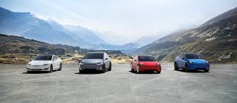After Taking Delivery Tesla
