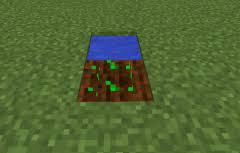You can use iron buckets to gather water or you can farm next to existing water. Tutorials Crop Farming Official Minecraft Wiki