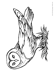 Owl From Harry Potter Color Page Harry Potter Colors Harry Potter Owl Harry Potter Coloring Pages