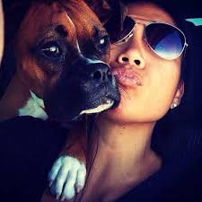 Loss of a beloved pet boxer to brain tumor