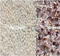 High Performance Sago Color Sorter Sago Color Sorting ...