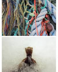 Fishing Photography: Jason & Danielle — Emily Anderson — Director