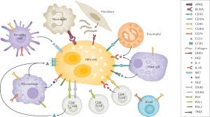 Bone marrow involvement in hodgkin's disease: Hodgkin Lymphoma Nature Reviews Disease Primers