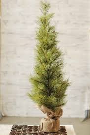 We did not find results for: Long Needle Pine Twig Tree Table Top Christmas Tree 3 Foot
