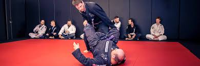It focuses on the skill of taking an opponent to the ground. Brazilian Jiu Jitsu Germano S Team
