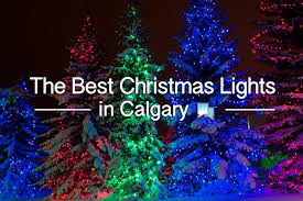 Check spelling or type a new query. Best Christmas Lights In Calgary