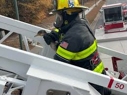 Chesapeake Fire Department...