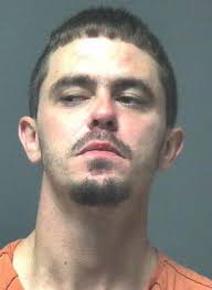 Atmore man charged with auto theft