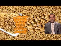 ماذا يفعل عصير الخيار بجسم الانسان Youtube Dog Food Recipes Food Animals Herbs