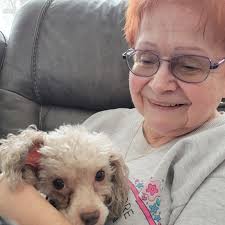 Happy Tails Update 🐶🐾 Hazel was adopted back in January of 2024 and is  doing great 💕Her family sent us this update: "Hazel was adopted in Jan  after her owner had passed