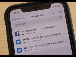 Iphone 11 Pro How To Add Website App Passwords For Later Reuse Youtube