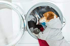 Don T Let Pet Hair Destroy Your Washing Machine The Dogington Post