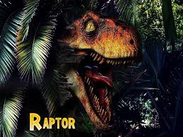 Best 58 Velociraptor Wallpaper On Hipwallpaper Velociraptor Wallpaper T Rex Velociraptor Wallpaper And Jurassic Park Velociraptor Wallpaper You can use this wallpapers on pc, android, iphone and tablet pc. best 58 velociraptor wallpaper on