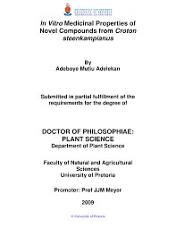 Image result for Croton steenkampianus