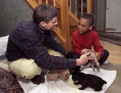 Thwarted adoption strands child in abusive home