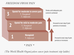 Image result for Cancer Pain