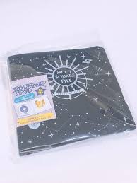 100均で買える コースターや缶バッチなどの小さめなヲタ活グッズの収納に便利な コレサポシリーズ を紹介 フミコミュ 缶バッチ バッチ コースター