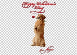 Page 5 Golden Retriever Puppy Png Images Klipartz