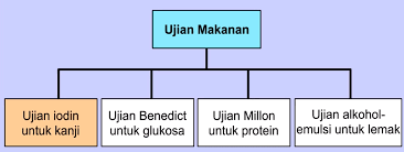 Sumber utama tenaga untuk aktiviti fizikal terdiri daripada unsur karbon, hidrogen dan oksigen. Bab 3 Ujian Makanan Dan Kepentingan Gizi Seimbang Quiz Quizizz