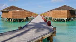 One of the best, in my opinion. Marriott Bonvoy Business Credit Card Review A Card For Marriott Fans 2021 Travel Freedom