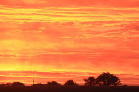 Profile for Roger Ringer