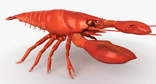 3d Model Lobster Fresh Food Raw Seafood Cooked Common Life Sea Animal Crab Water Animal Ocean Selfish Crawfish Fish 3d Model Seafood Model