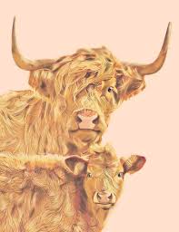 The bulls can way up to a whopping 800kg, and the cows up to 500kg, and their milk generally has a very high butterfat content. Long Haired Cow And Calf Pink Tomahto Art Studio Digital Art Animals Birds Fish Farm Animals Cows Bulls Artpal