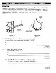 Biology Spm Ramalan 2020 Testnote Com
