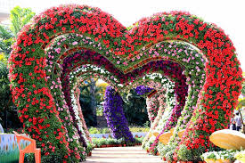 Nashik flower park best picnic spot in nashik नाशिक फ्लावर पार्क. Flower Park Nashik Images