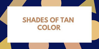Mar 25, 2020 · according to globalpost, the best way to make the color tan is to combine yellow and brown until the desired shade of tan is achieved. Shades Of Tan 50 Tan Colors With Hex Codes