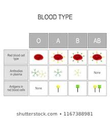 Blood Transfusion Chart Photos 212 Blood Transfusion Stock