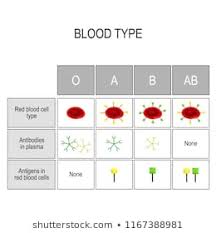 blood transfusion chart photos 212 blood transfusion stock