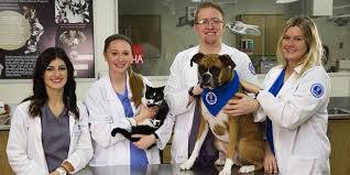 Shop dog food & pet supplies online today. Macomb Community College Veterinary Technician
