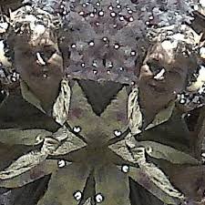 Image result for tbn:HYHUNTcEEKbvFM::img262.imageshack.us/img262/6572/nilezn4.jpg