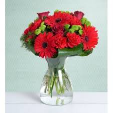 Send flowers online san jose costa rica. Fresh Flower Delivery Costa Rica Send Flowers Online Florist Shop