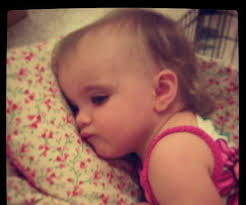 Should I choose cargo carrier or kayak for road trip?