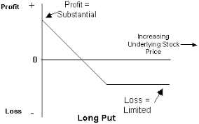 Equity Calls Puts