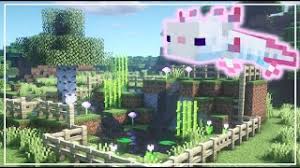 Then you empty the bucket in a cavern near your minecraft home. How To Build An Axolotl Enclosure Minecraft Youtube