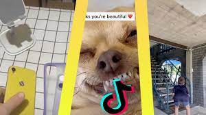 Tiktoks That Are Actually Funny Tik Tok Compilation 2020 Youtube